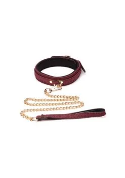 Choker En Velours Doublé Avec Laisse - Bordeaux Et Doré