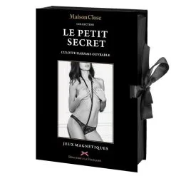 Lingerie boutique -Lingerie boutique culotte harnais jeux magn tiques 2