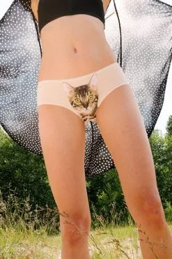 Lickstarter Culotte Tigress -Lingerie boutique culotte tigress 3