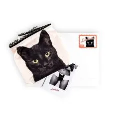 Lickstarter Culotte - Experienced Fighter -Lingerie boutique experienced 2