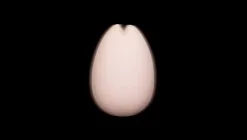 Iroha Galet Vibrant En Silicone Ultra Doux Sakura 21 Iroha Galet Vibrant En Silicone Ultra Doux Sakura -Lingerie boutique img spec 003 1