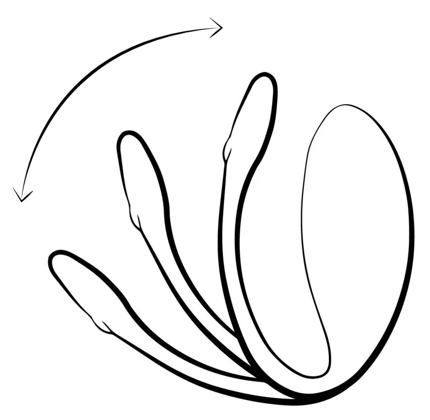 We-Vibe Oeuf Vibrant Télécommandé Jive - Rose 7 We-Vibe Oeuf Vibrant Télécommandé Jive - Rose – Image 5